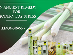 Lemongrass Fragrance