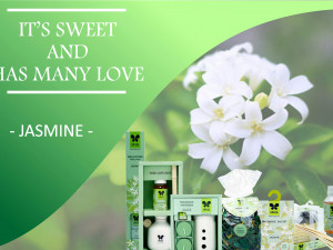 Jasmine Fragrance